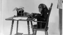 infinite monkey theorem 