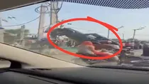 viral car video