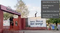 jaipur animal management branch of greater unique way to catch stray animals users are taking dig