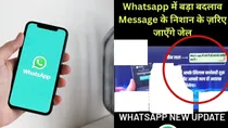 WhatsApp read receipts: What happens if it turns red instead of blue? viral post truth