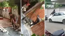 pitbull dog attacked delivery agent injured raipur video viral users demand action against owner