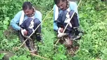 python attack on a man in jabalpur mp viral video