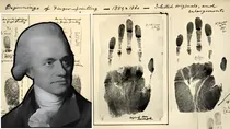finger print and biometric identification