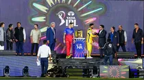 IPL 2024 Opening ceremony (Photo - PTI) 