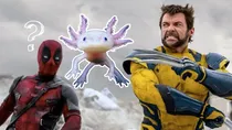 Deadpool and Wolverine