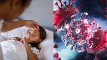 what is chandipura virus its symptoms treatment and prevention