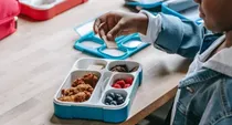 noida delhi public school circular non veg food 