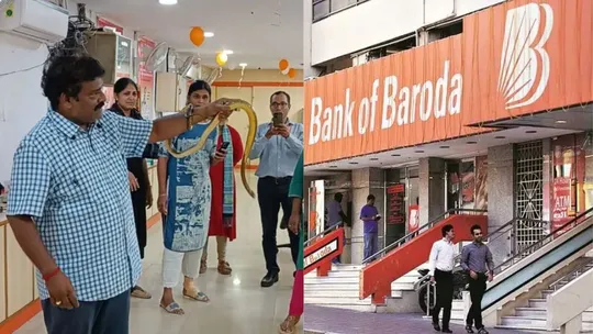 snake found in bank of baroda visakhapatnam