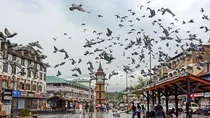 Jammu Kashmir election