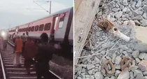 Uttar pradesh kanpur sabarmati express derail ashwini vaishnaw