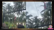 bird helps in hoisting tricolour flag viral video fact check