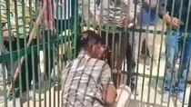 UP Forest Officer Accidentally Locked in Tiger Cage