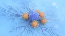 role of natural killer cells in cancer 