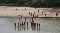 Peru amazon community loggers