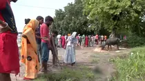 bahraich villagers killed dog or maneater wolf confusion three villagers two kids attacked injured 