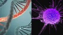 How do genes play a role in cancer growth
