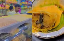 Frog Leg In Samosa (screengrab)