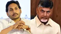 tirupati laddu prasadam controversy ysr congress party approaches high court tdp bjp cm naidu