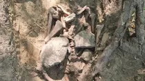 ancient history