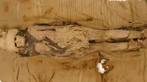 ancient cheese archeology