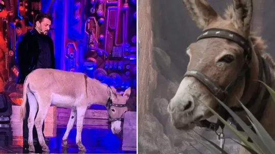 bigg boss 18 gadhraj donkey evicted from show objection from peta letter to salman khan