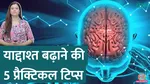 how to increase brain power sehat