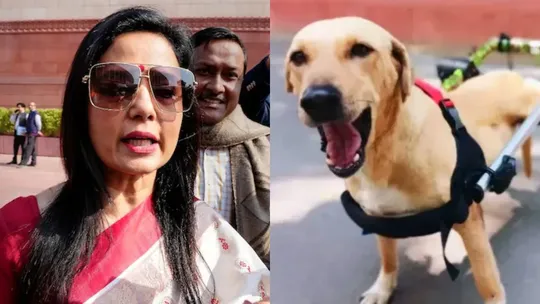 Mahua Moitra Dog