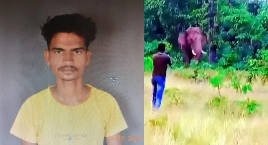 Maharashtra young man taking selfie wild elephant knocked him to death in Gadchiroli 