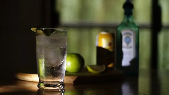 gin and tonic 