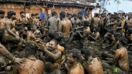 tamil nadu cow dung festival