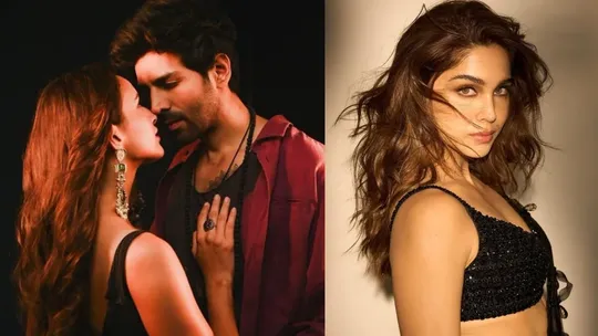 kartik aaryan, tripti dimri, sharvari