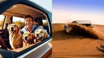 Non-clarity on definition and complex tax slabs mean it's up to companies to decide how to classify their vehicles in what has become a 'free for all' market.