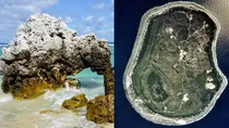 making phosphate and gold with bird shit nauru island sad story history