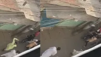 Extremists Attack Radha Govinda and Shantaneswari Matri Temples in Chittagong; Hindu Community Forced to Flee