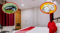 This person cheated lakhs of rupees from hotels by showing 'dirty condoms' and 'dead cockroaches', 