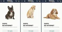 Why does Amazon show pictures of these dogs on its page? The story behind this is very interesting...