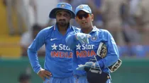 MS Dhoni, Harbhajan Singh