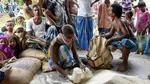 free ration to migrate workers