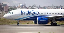 Indigo Passengers