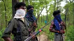 Naxalites subjected to sterilization before marriage told to amit shah