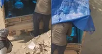 Bihar Egg Thief Principal