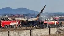 Bird strike, bird strike, go-around Final moments of crashed South Korea plane