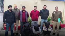 the serial thief who stole rice and kids wear Hiring new recruits for every heist