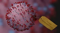 what is hmpv its causes symptoms treatment and latest update
