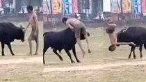 Madhya Pradesh Jabalpur angry bull attacked men