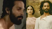 shahid kapoor, kabir singh, padmaavat
