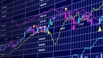 budget market