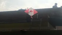 Illegal Migrants Deported From US, Shared experience how they live in America and Canada