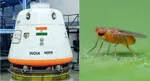 tifr scientists sending fruit flies to space gaganyaan-1