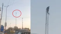 Madhya Pradesh Bhopal mobile tower cm house